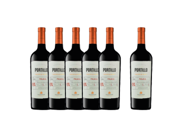 Imagen de Portillo 5+1