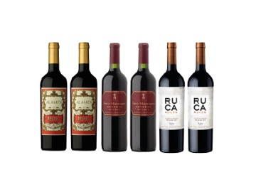 Imagen de Combo Malbec