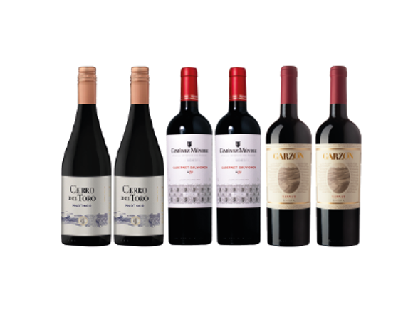 Imagen de Combo Vinos Uruguayos