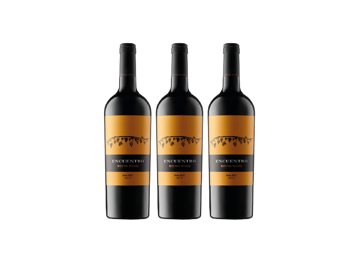 Imagen de Encuentro - Precio x 3 botellas