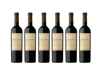 Imagen de DV Catena Malbec/Malbec x 6!