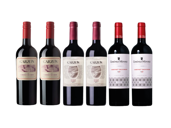Imagen de Combo Vinos Uruguayos